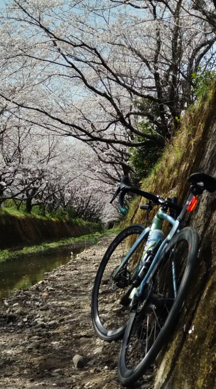 自転車好きの学生さんのオプチャ