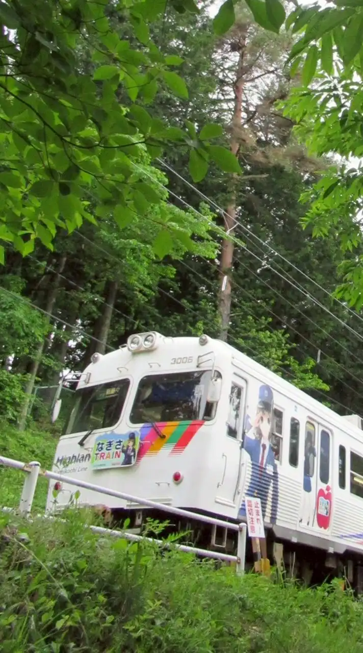 真の鉄道好き
