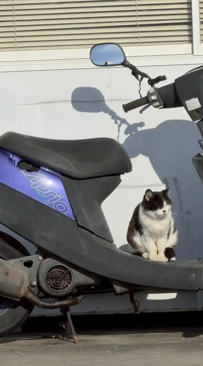 原付バイク、原チャリ(たまに車)交流所