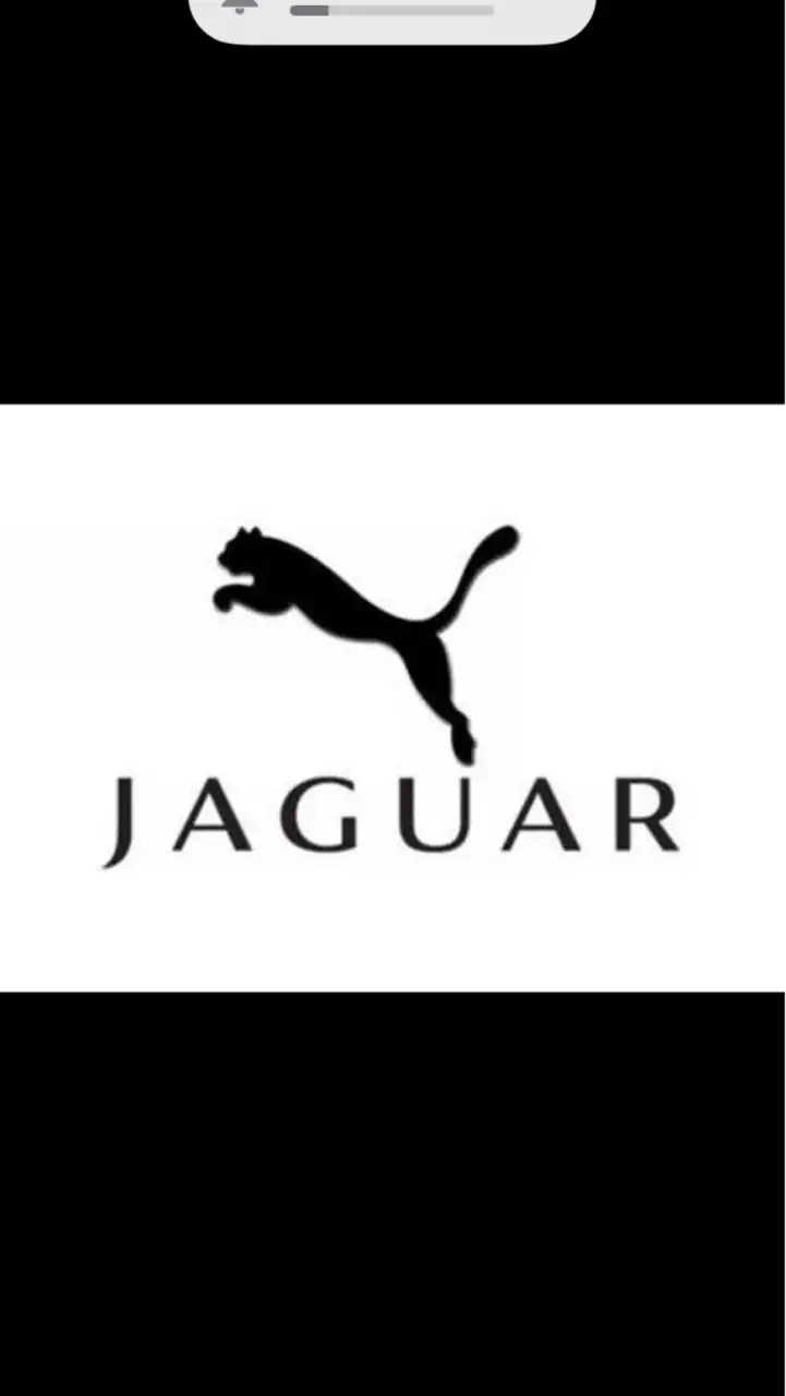 ジャガーオーナー交流の場