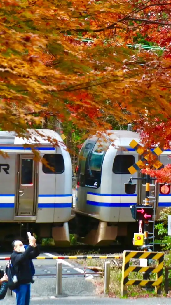 【THG】(1)全国の鉄道・バスマニア集まれ！