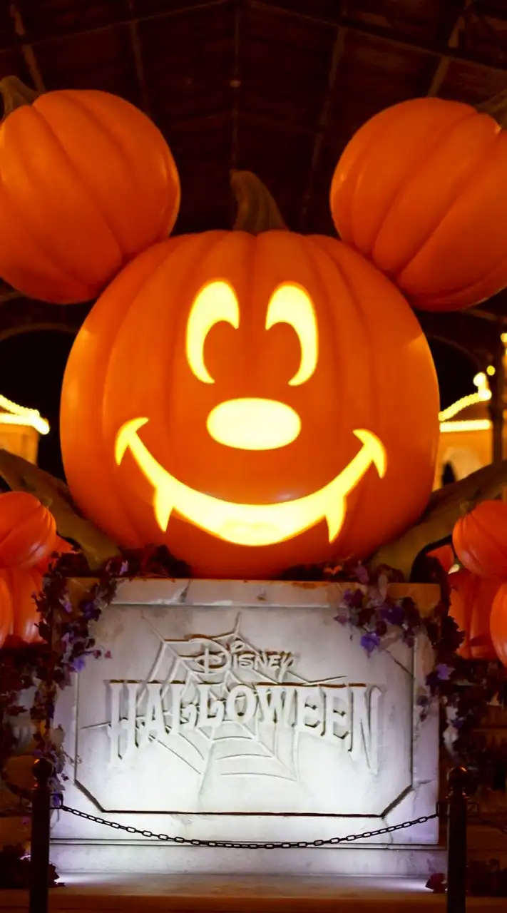 ディズニー（disney）〜夢と魔法の交流部屋〜