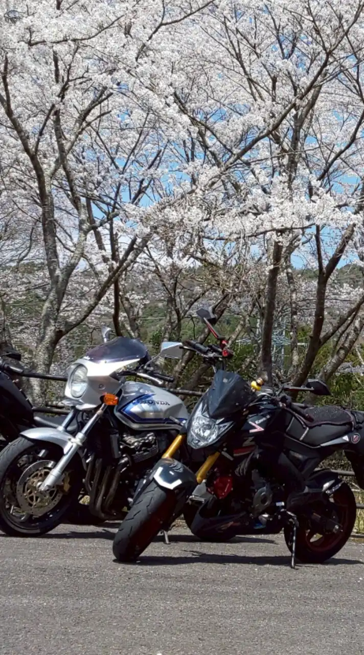 走れ！平日ライダー！【徳島】