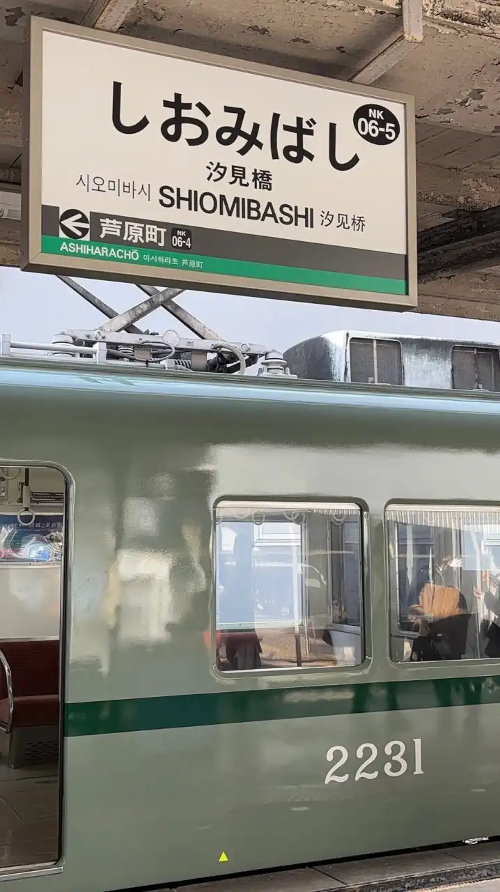 南海•泉北 不定回スジ共有