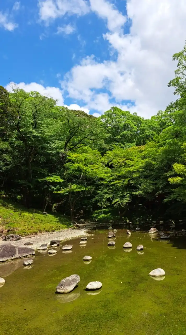 <新>日本の自然の景色や風景、花の写真など
