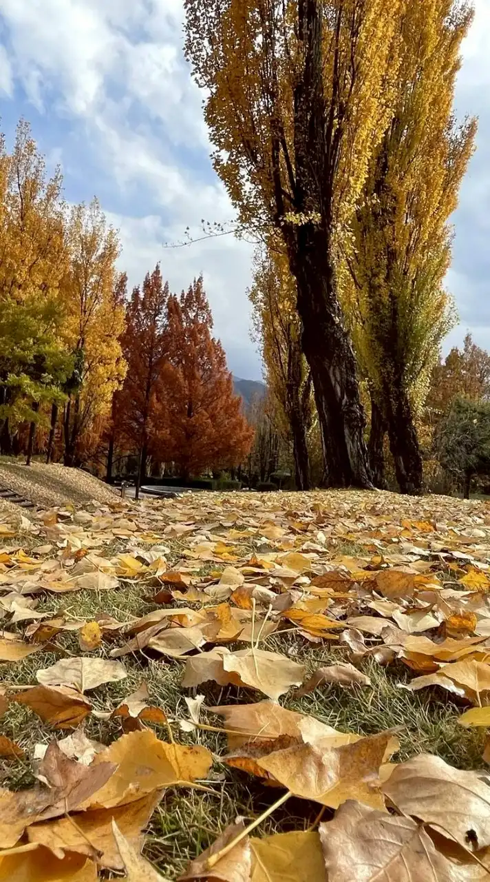 毎日ほのぼの写真