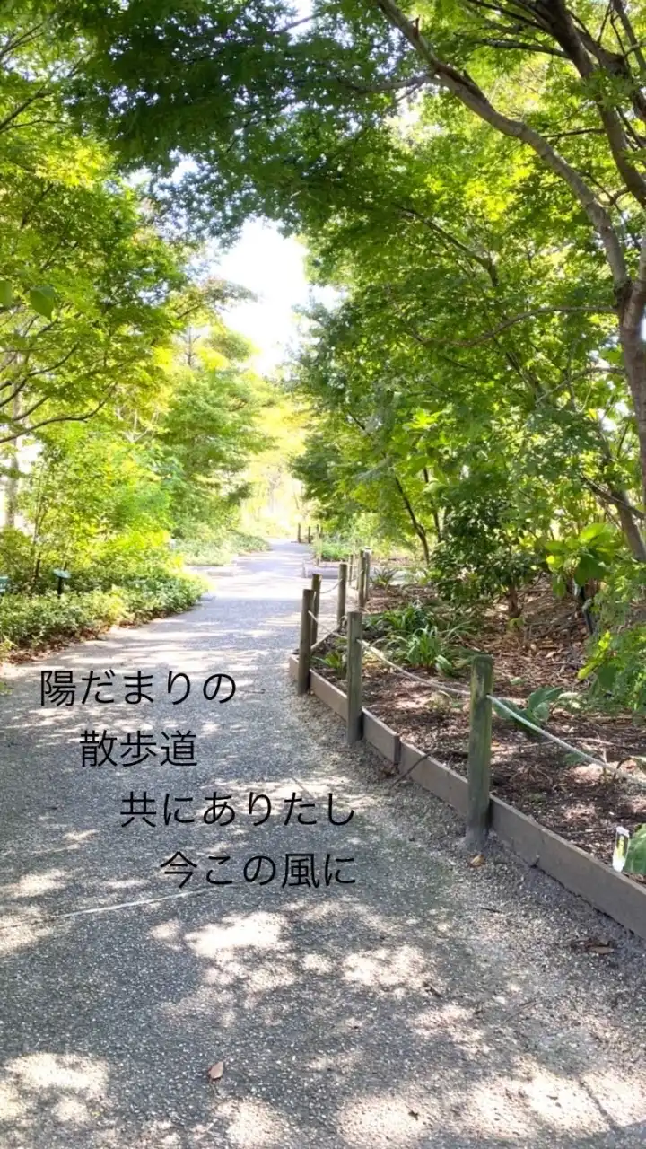 写真と言の葉たち🍀折々の散歩道🍀
