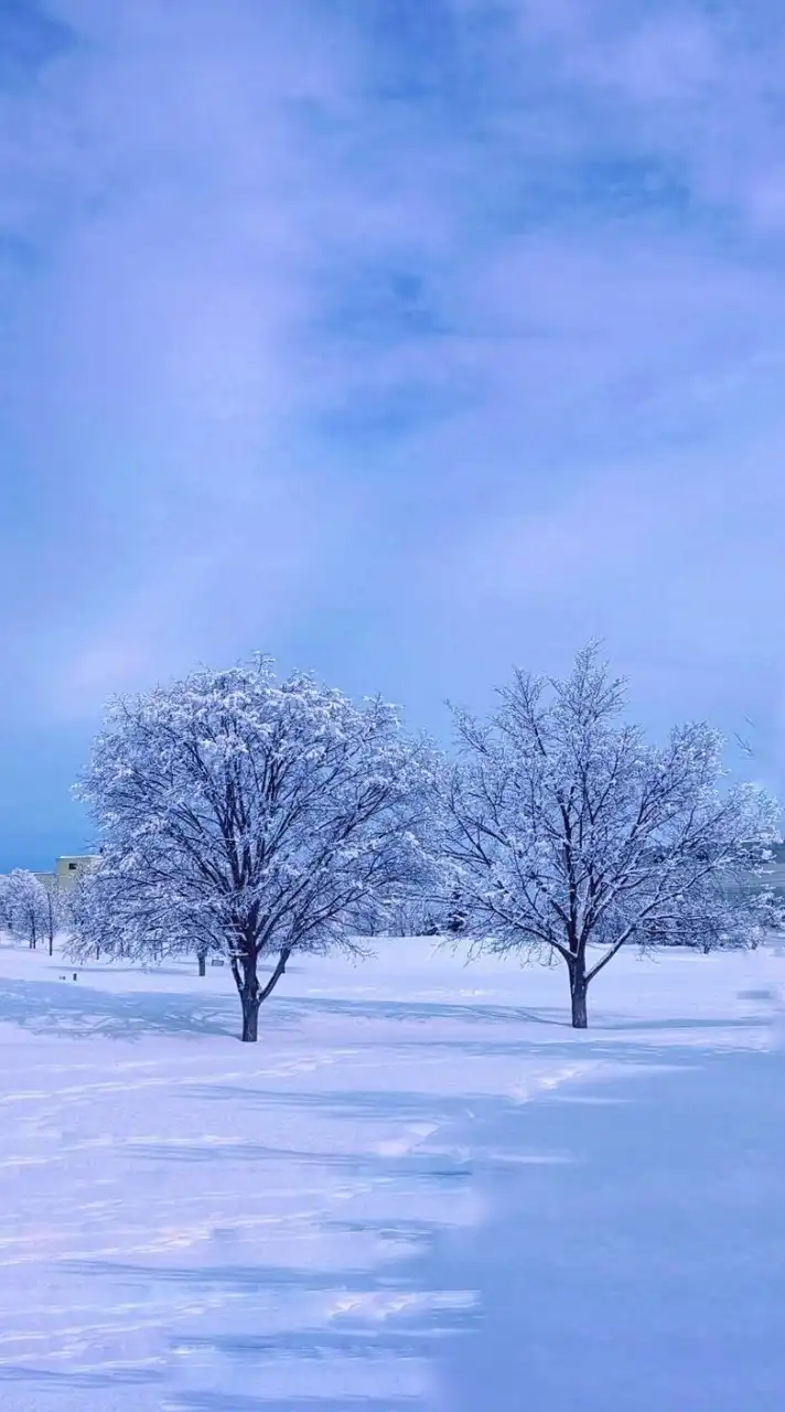 スマホ＆カメラで毎日を|•ᴗ•)و✧pachiri