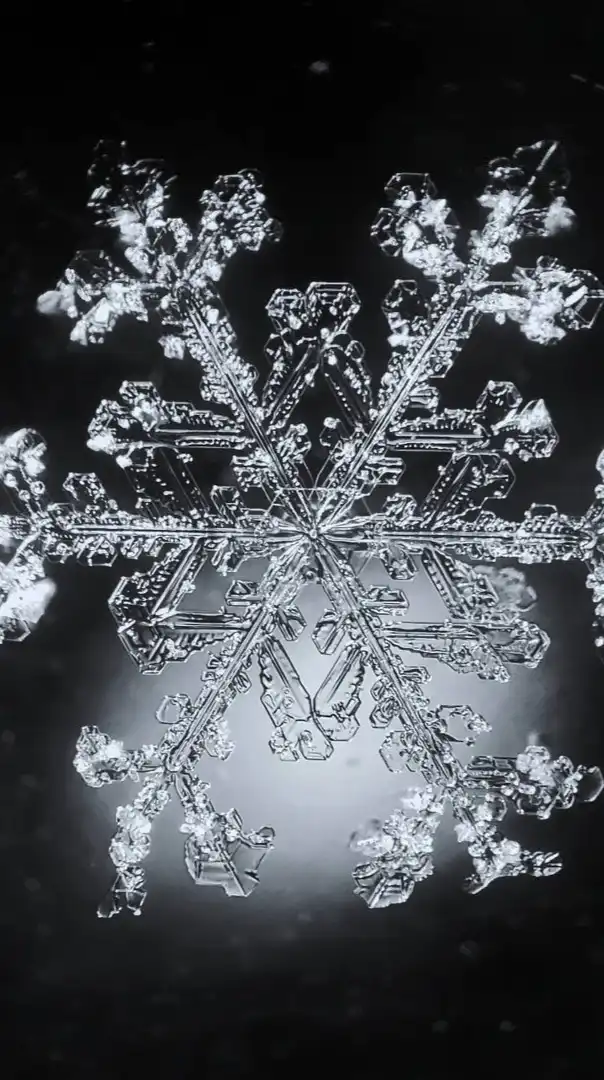 行雲流水 〜風景写真から日常写真まで〜