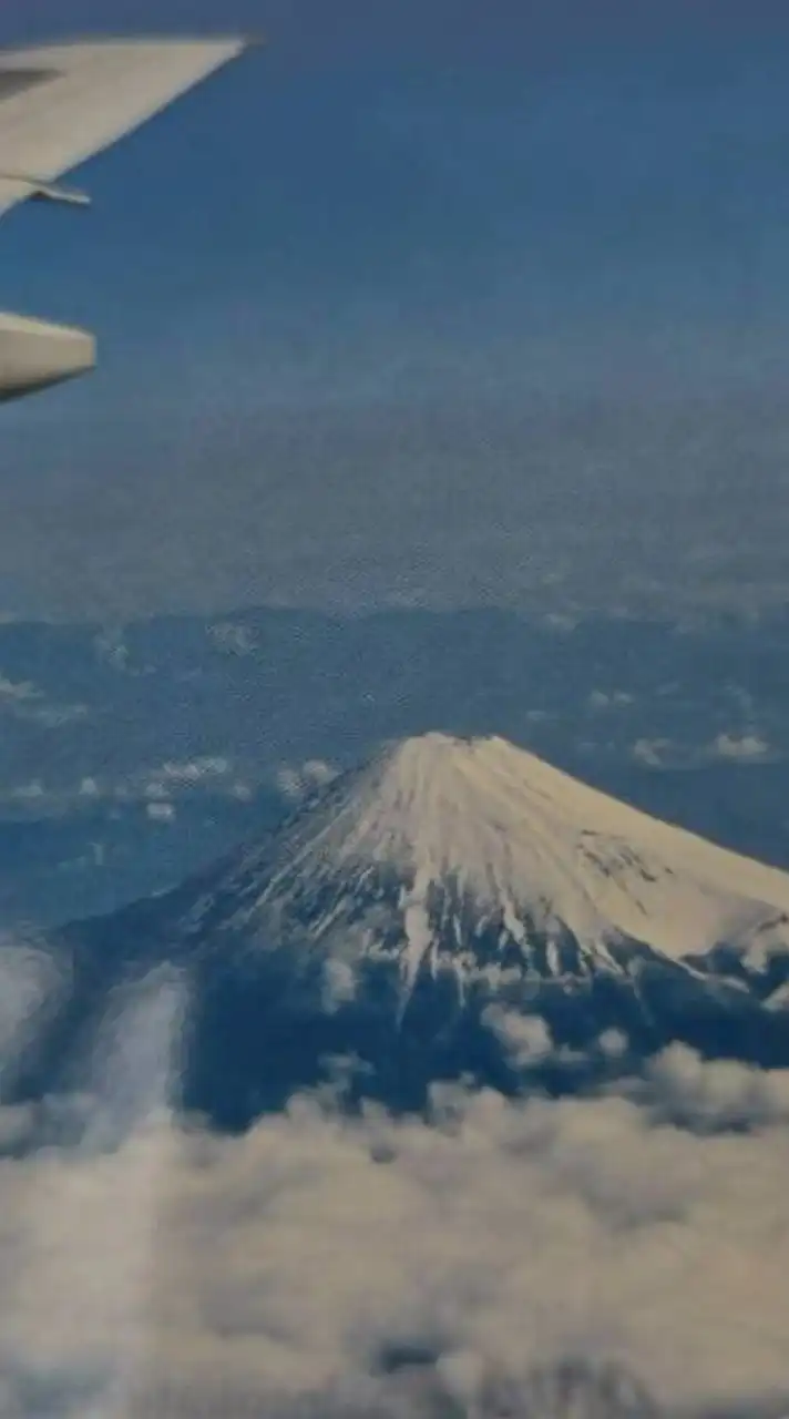 毎日ほのぼの写真