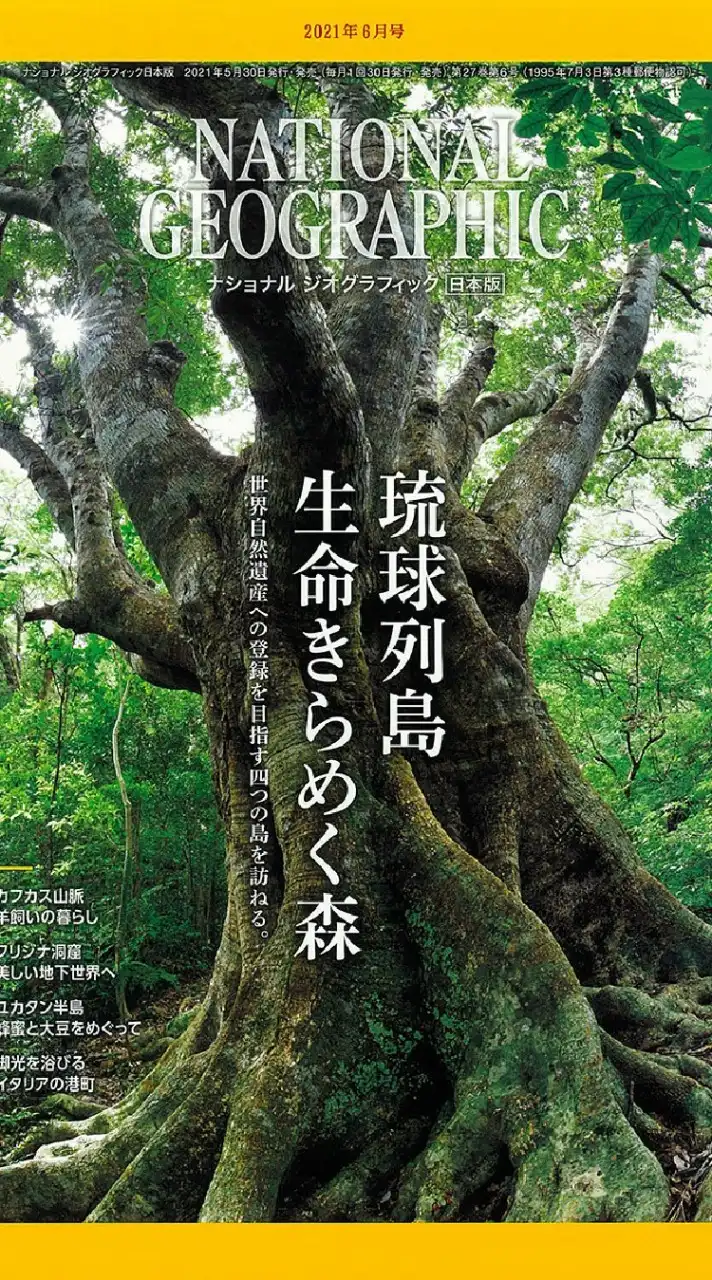 <琉大写真部>新歓