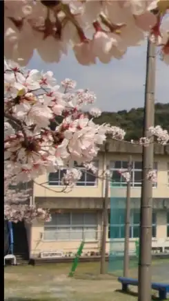 西気賀100景