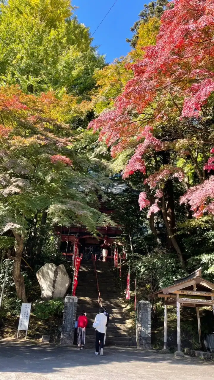 ［関東］神社仏閣・御朱印について語ろう☆