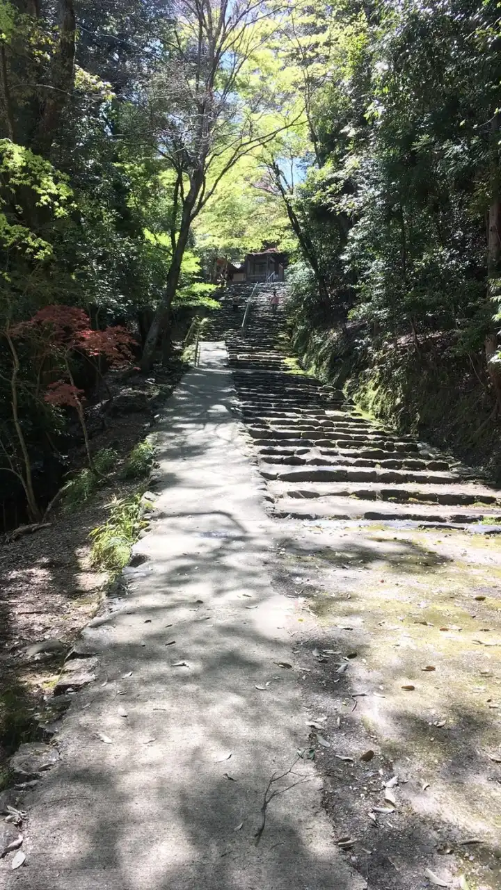 京都旅行好き！