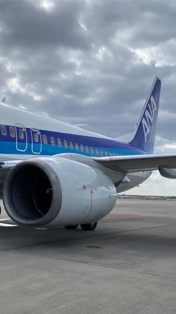 全日空　SFC2025