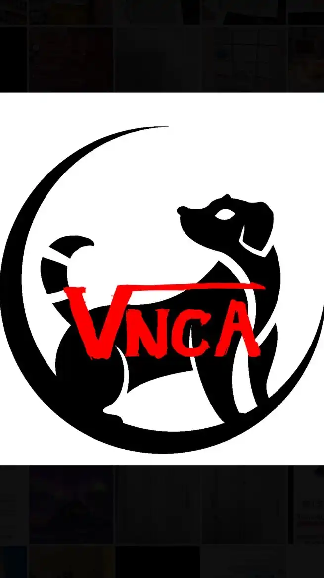 VNCA<discord>勉強会
