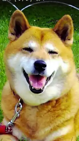愛犬の会