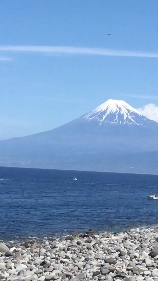 獣医師　平郡先生の健康雑学