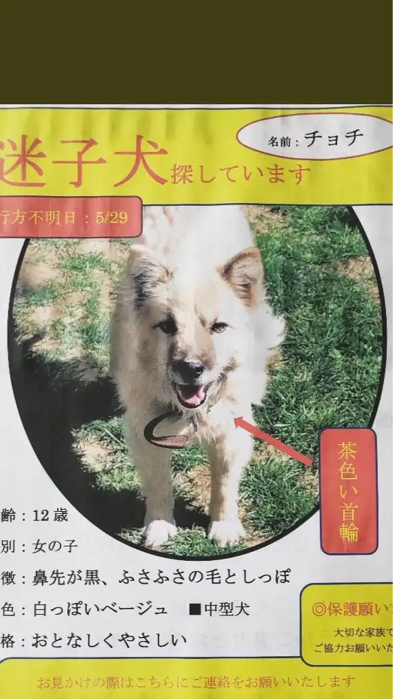 チョチちゃん探せ★