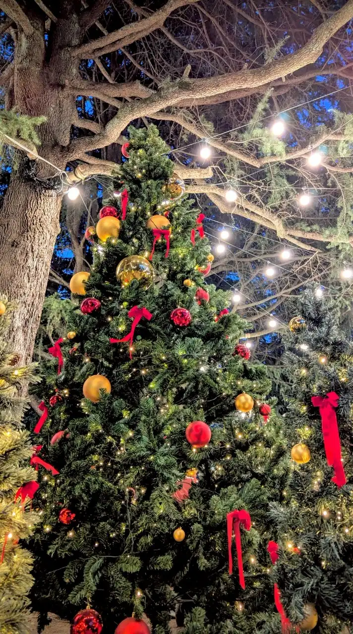 💐日本各地の魅力の発見と、旅が大好きな方のための新しいOPENCHAT🛫🚄🚞🚌🚙🚶💐