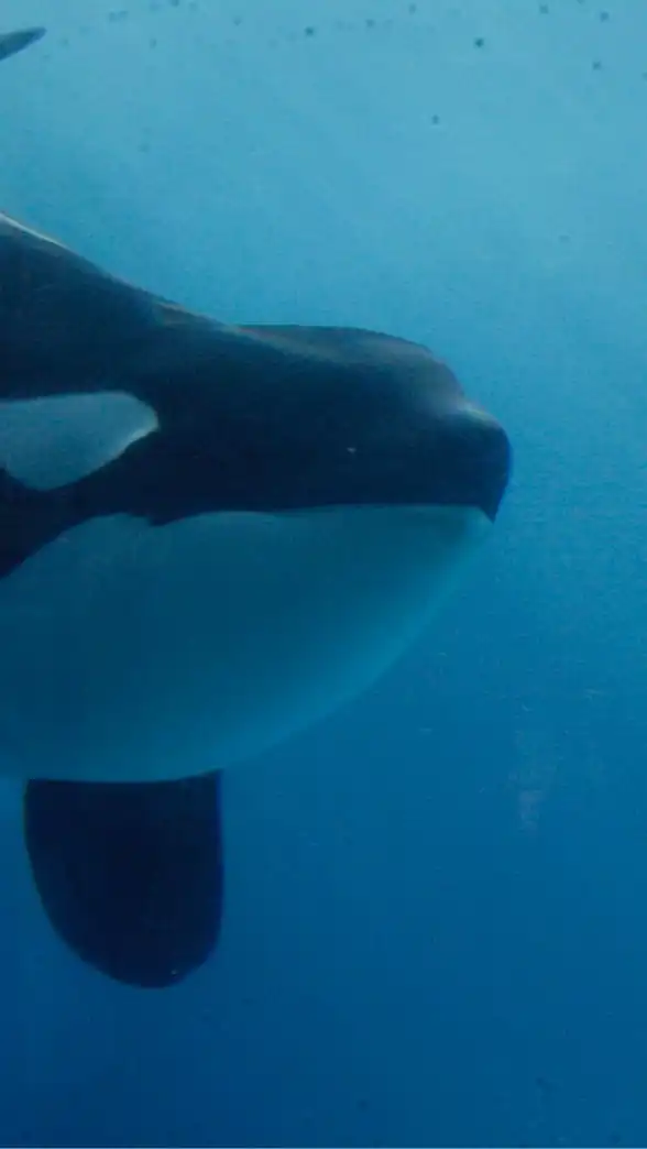 水族館好きの溜まり場