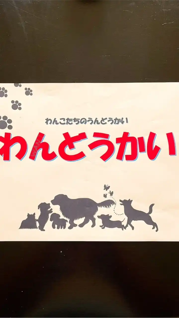 10/28 わんどうかい🐶写真館