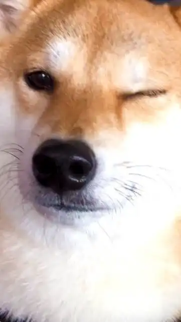ぐねるの会