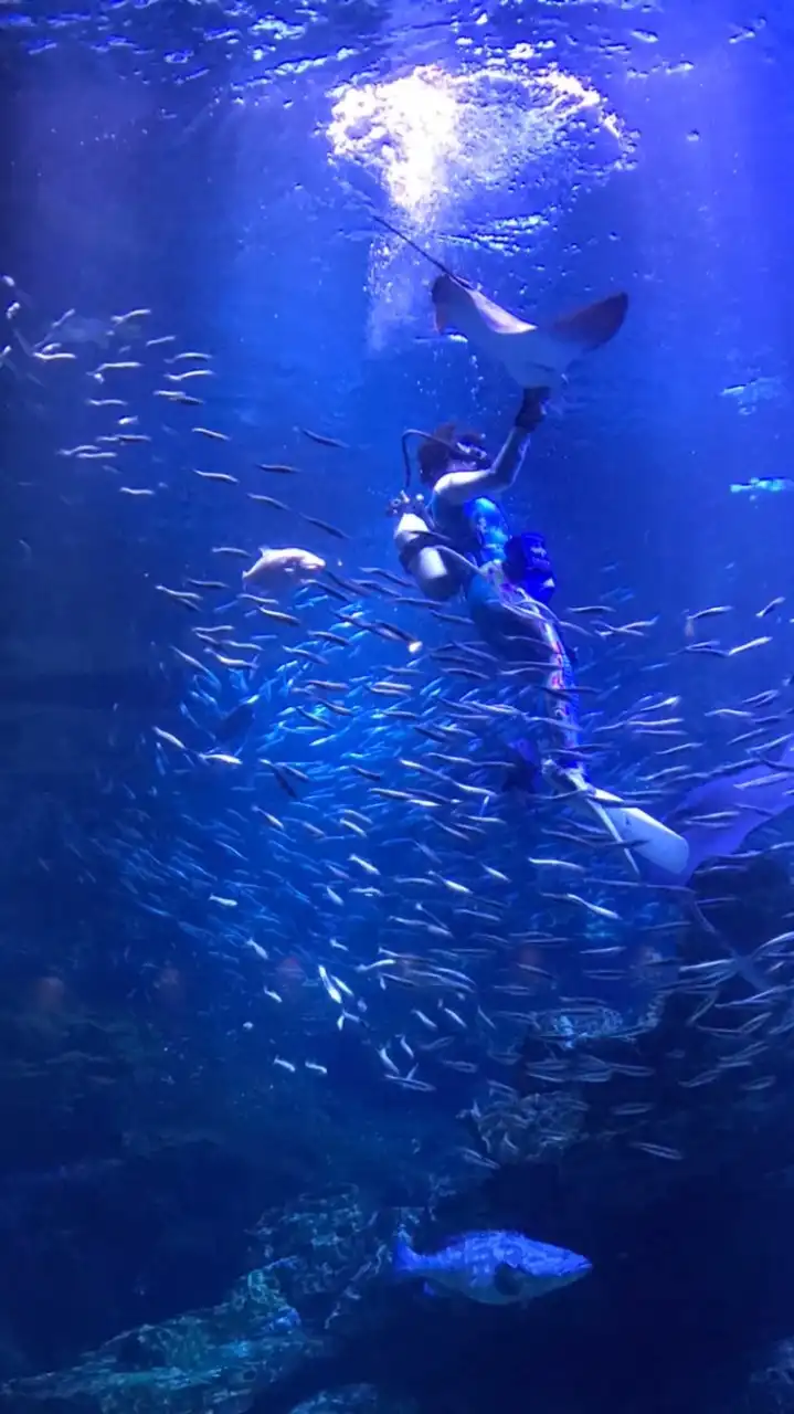 京都水族館