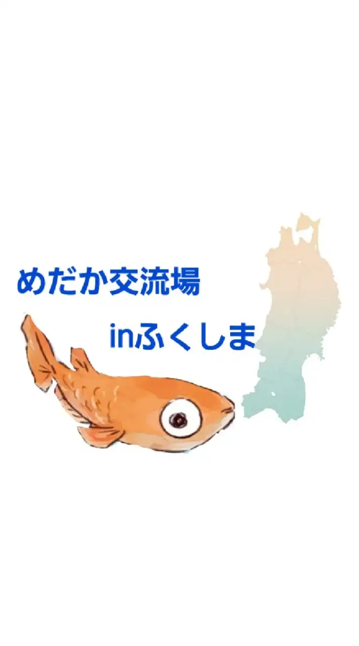 めだか交流場inふくしま