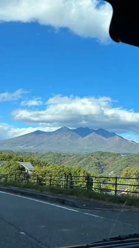 ワンコ💚八ヶ岳南麓