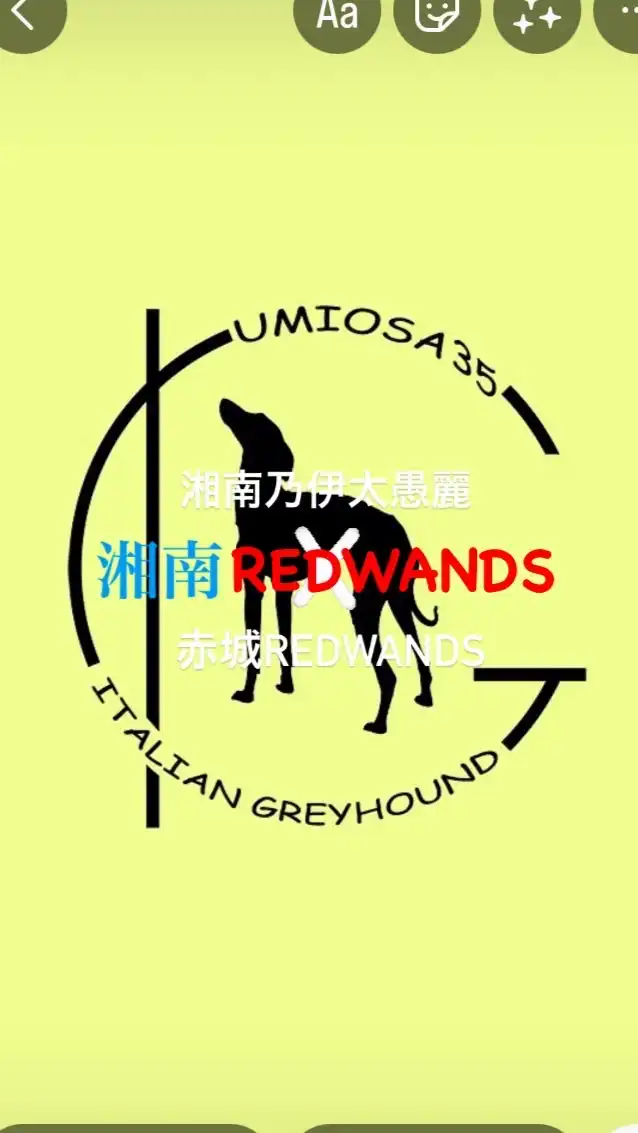 umiosa35 湘南REDWANDS
