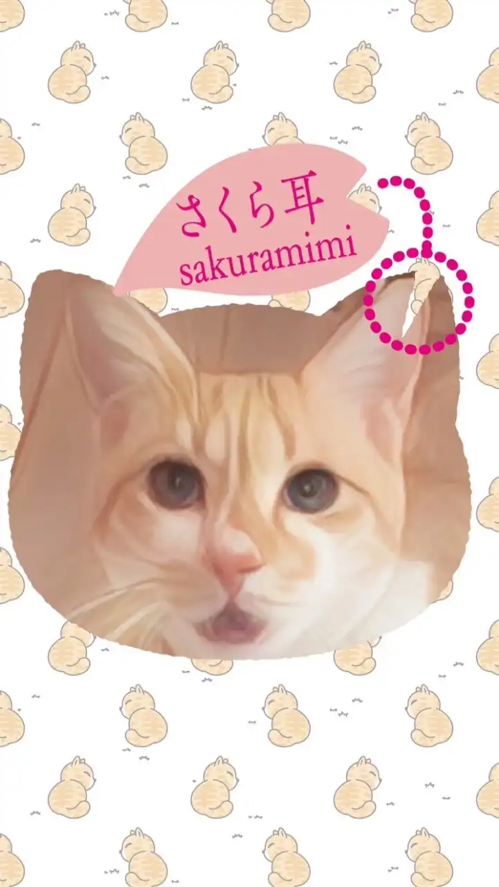 ねこのあしあと👣
