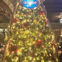 🌏東京ディズニーシー情報交流館（情報共有・雑談）