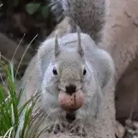 生き物好き！動物園好き！