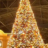 🏰東京ディズニーランド情報館