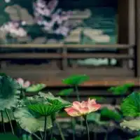 陳情令・魔道祖師