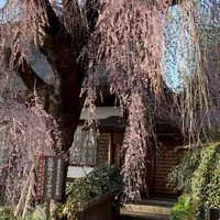 寅さんと歩む