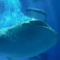速読研究部