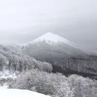 🏂ネコママウンテン好きが集う会🏂スノーボード