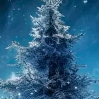 《🍃独り言🍃》50歳以上女性限定