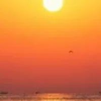 《🍃独り言🍃》50歳以上女性限定