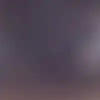 特定班