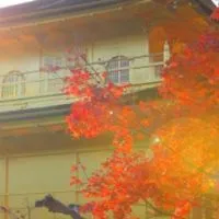 関西が好きな人歓迎🌼ユルユル部屋🌸ROM専歓迎
