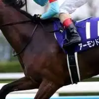 中央競馬みんなで盛り上げよう