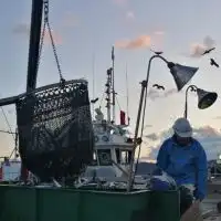 関西よつ葉連絡会　水産生産者