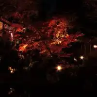 写真好き中学生集まれー