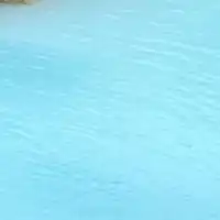 中学生限定！