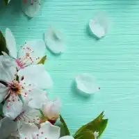 糖尿病 血糖値コントロール井戸端会議(*´∀`)人(´∀｀*)