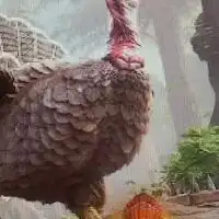 大人限定Nintendo Switch版ARK 楽しくやりましょ
