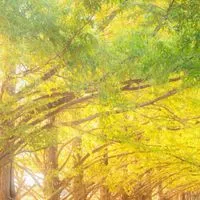 ✨助け合おう【生活保護】✨
